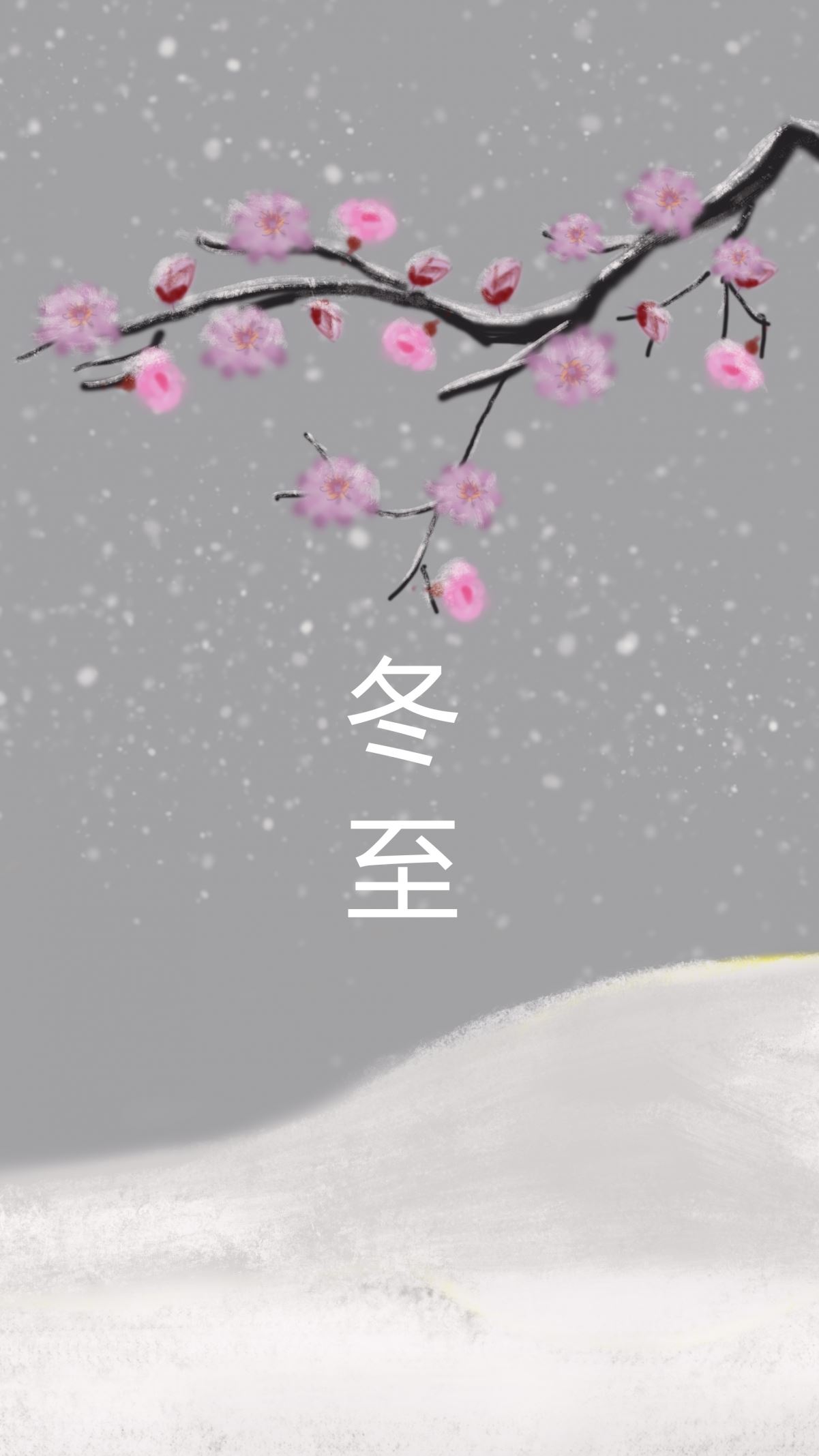 冬至 梅花 雪 4k手机壁纸