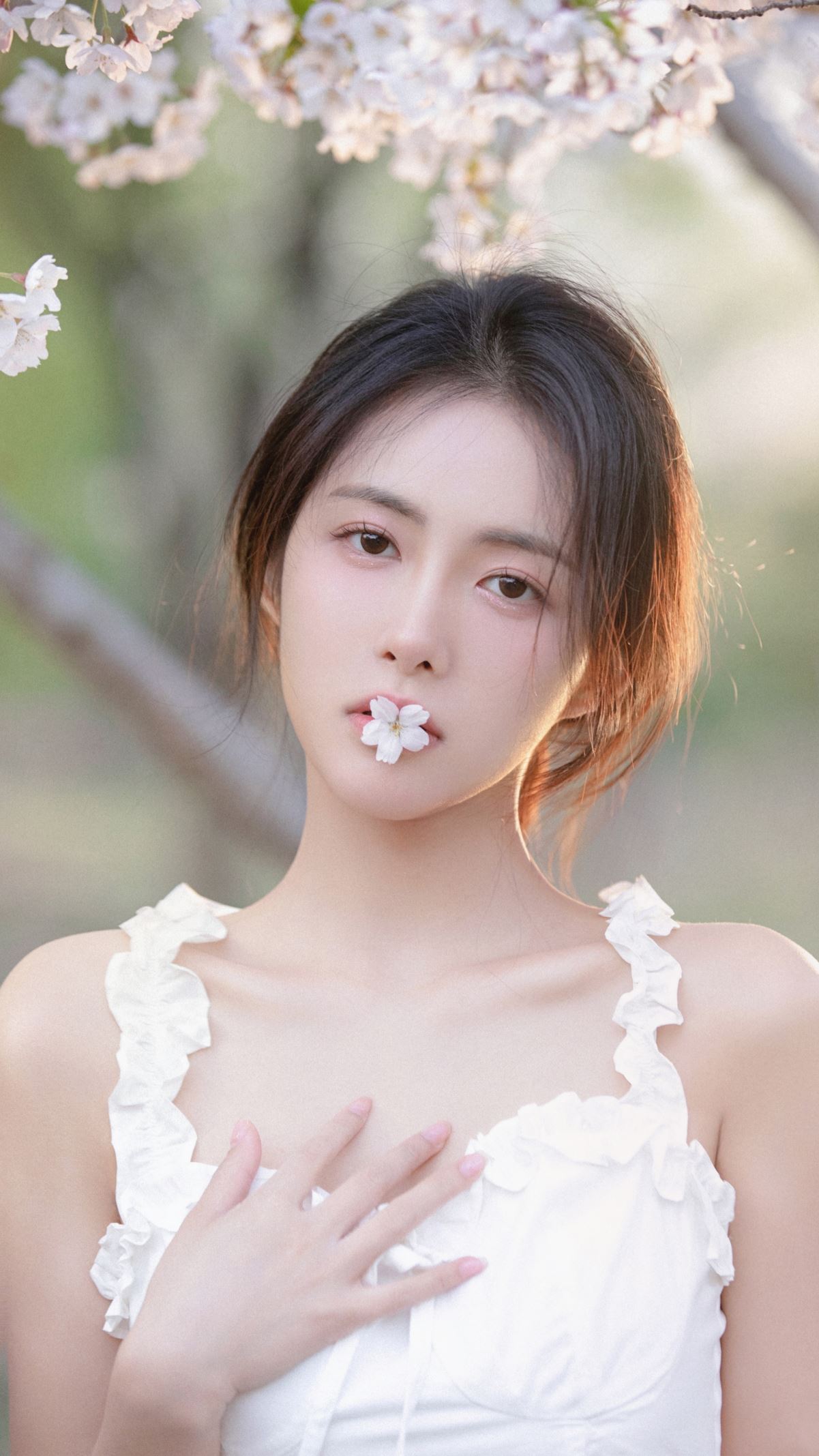 美女 樱花 林晚儿4k手机壁纸