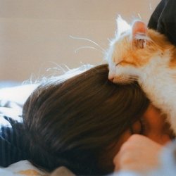 和主子在一起的猫咪唯美图片