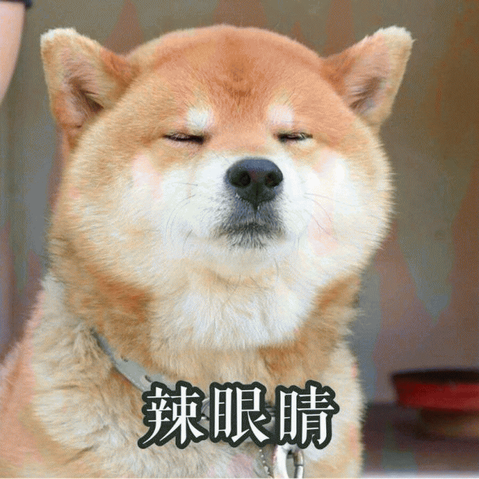 柴犬搞笑表情包 [一个耿直的微笑]