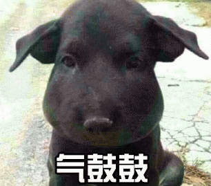 气鼓鼓表情包 [没猜错应该是掏了蜜蜂窝吧？]