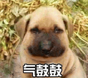 气鼓鼓表情包 [没猜错应该是掏了蜜蜂窝吧？]