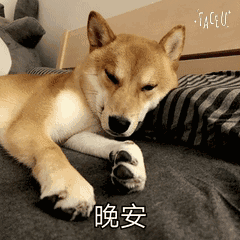 柴犬表情包  [天大地大睡觉最大]
