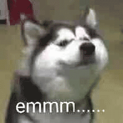 哈士奇emmm表情包 [二哈emmm...... prprpr......原图系列]