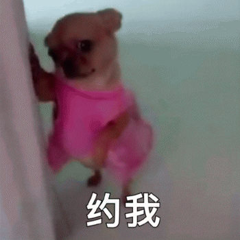 狗子表情包 [表面稳如狗 内心慌得一批]