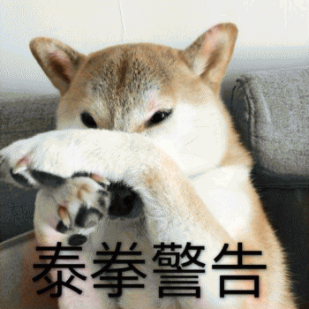 狗子表情包 [表面稳如狗 内心慌得一批]