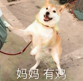 沙雕狗狗表情包 [大家都听我说，你们都是狗]