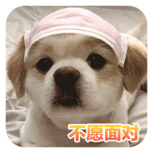 沙雕狗狗表情包 [大家都听我说，你们都是狗]