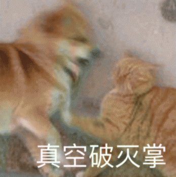 沙雕狗狗表情包 [大家都听我说，你们都是狗]