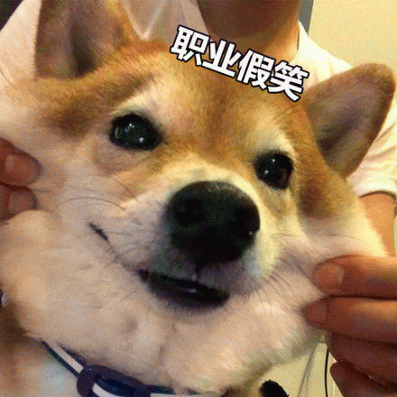 秋田犬表情包 [野心不大 你和天下]