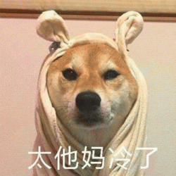 狗狗带字微信聊天表情包大全