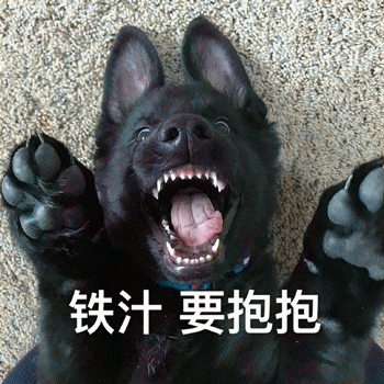 狗狗表情包带字 [这双狗眼看透太多了]