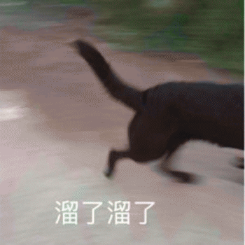 狗狗表情包带字 [这双狗眼看透太多了]