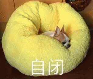 吉娃娃表情包 [我想这是用表情包的最高境界]