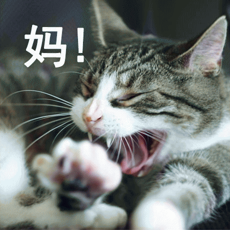 呼叫妈妈的表情包 [给你妈发微信不理你 就发这些表情包过去]