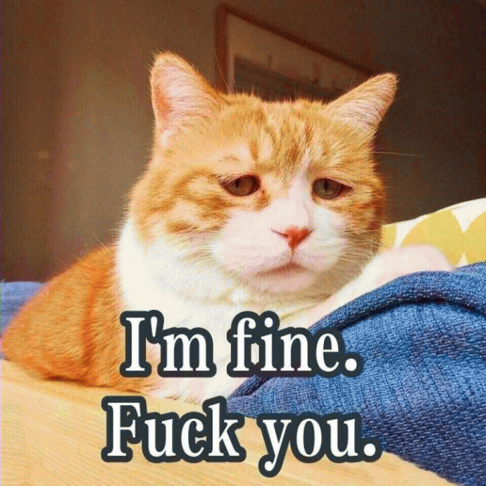 忧伤猫表情包 [满脸写着不高兴]