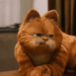 加菲猫用小拳拳锤你胸口]动态表情