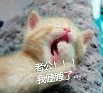 猫咪喊老公的表情包 [悄咪咪的偷窥老公]