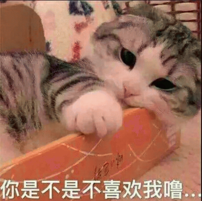 猫咪表情包 [难过的就像一个200斤的橘猫]