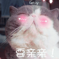 英国短毛猫情侣恩爱聊天表情包