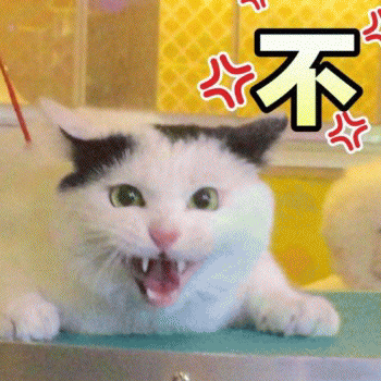 日常吸猫表情包 [哈哈哈哈哈哈 你没我萌吧！]