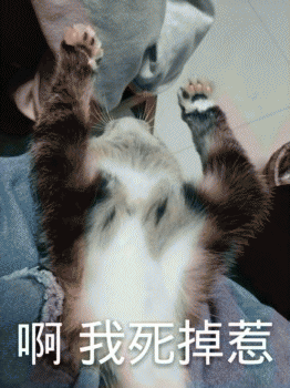 日常吸猫表情包 [哈哈哈哈哈哈 你没我萌吧！]