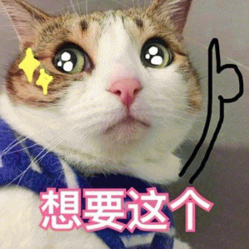 日常吸猫表情包 [哈哈哈哈哈哈 你没我萌吧！]