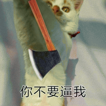 日常吸猫表情包 [哈哈哈哈哈哈 你没我萌吧！]