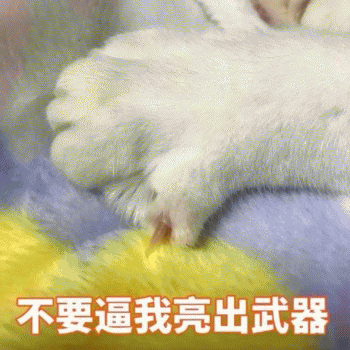 日常吸猫表情包 [哈哈哈哈哈哈 你没我萌吧！]