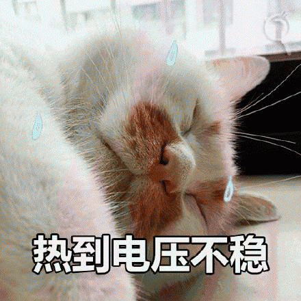 网红猫楼楼表情包 [热到昏古七 热到怀疑喵生]