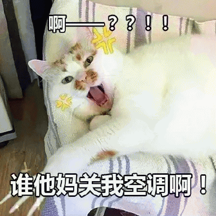 网红猫楼楼表情包 [热到昏古七 热到怀疑喵生]