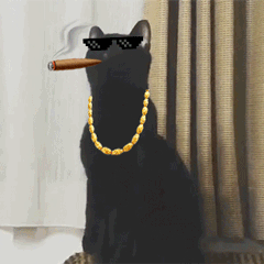 长脖子黑猫GIF动态搞笑表情包