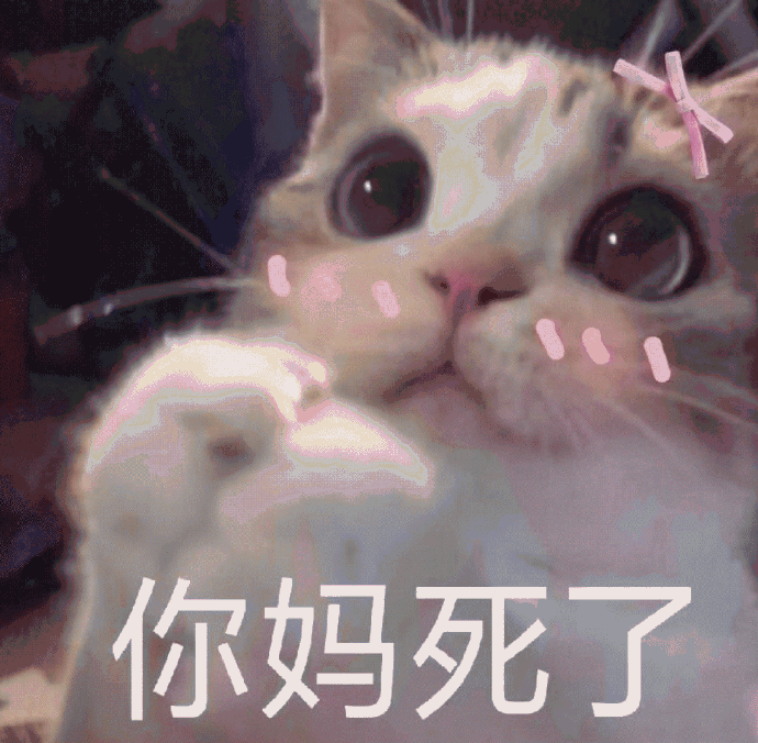 猫咪带字表情包微信呆萌图片