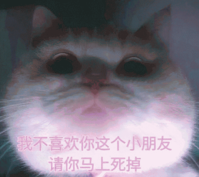 猫咪带字表情包[最近很火的表情包猫都在这里]全套200张