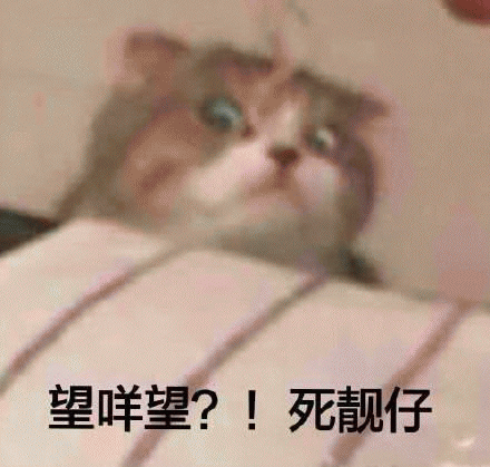 猫咪带字表情包[最近很火的表情包猫都在这里]全套200张