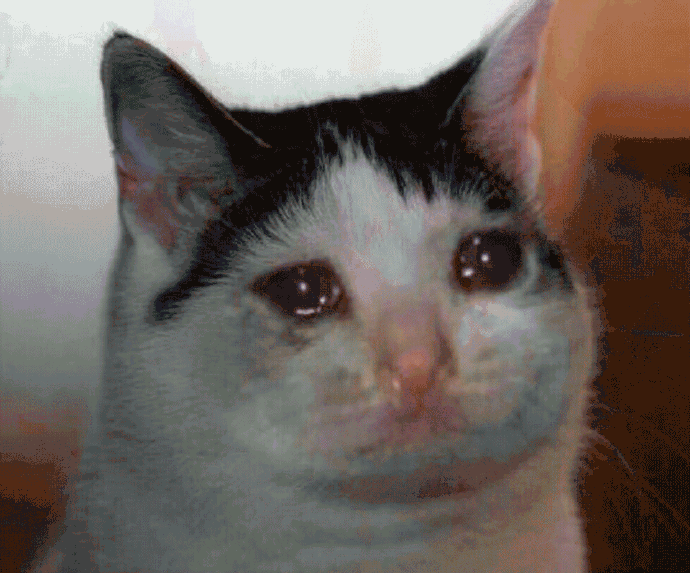 猫咪带字表情包[最近很火的表情包猫都在这里]全套200张