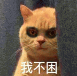 橘猫表情包 [我妈不让我跟傻子玩]