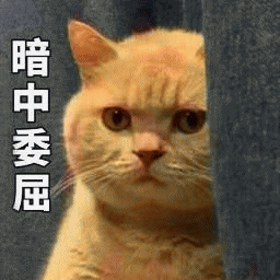 橘猫表情包 [我妈不让我跟傻子玩]